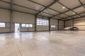 Halle (5) - 