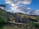 Blick in die Umgebung - 
