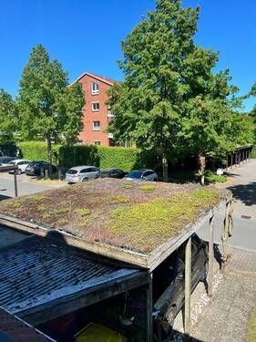 Begrüntes Carport-Dach.JPEG - 