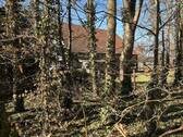 IMG_9139 - 