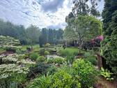 Ansicht Ostseite mit Teich - 