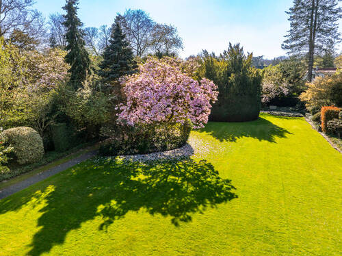 Drohnenansicht - Grundstück zum Kaufen in Meerbusch