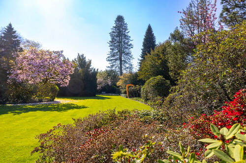 Garten - Grundstück in Meerbusch zum Kaufen