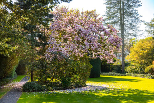 Garten - 