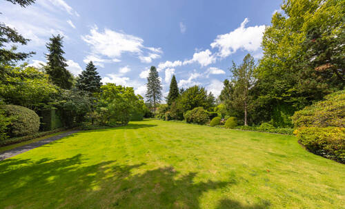 Blick über das Grundstück - 