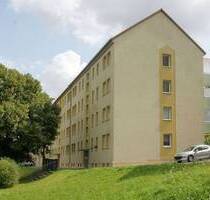 Ruhig wohnen im Grünen - Charmante Singlewohnung in Stadtrandlage - Plauen Reusa