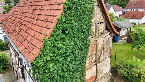 Westansicht - 