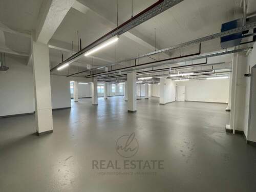 1.jpg - GERÄUMIGES LAGER 