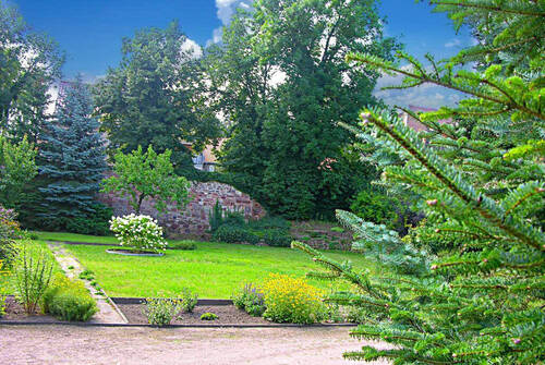 Bild13 - 