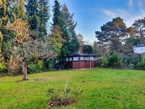 Gemeinschaftsgarten - 