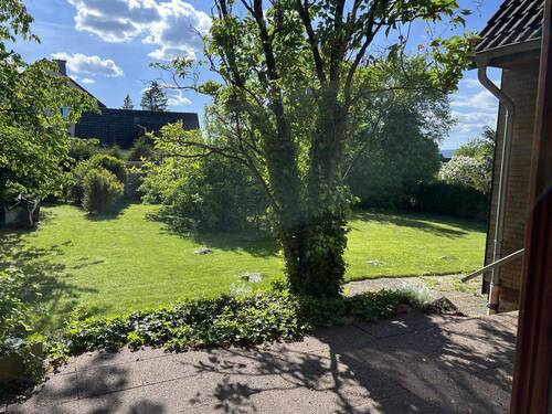 Blick in den Garten - 