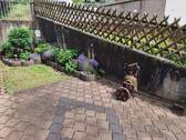 Fischbach Teilansicht Terrasse.jpg - 