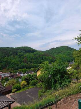 Fischbach Ausssicht.jpg - 