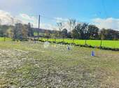 Paddock - 