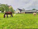 Weide - 