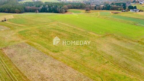 Außenansicht Drohne 4 - Grundstück in Walderbach zum Kaufen