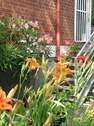 7GartenSommer - 