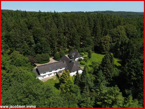 Westansicht/eine Insel im Wald - 