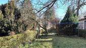 Garten - 7 Zimmer Mehrfamilienhaus, Wohnhaus zum Kaufen in Dresden