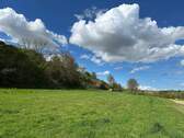 Wiesenfläche - 