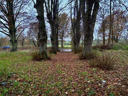 Außenbereich - 6 Zimmer Einfamilienhaus in Gleschendorf