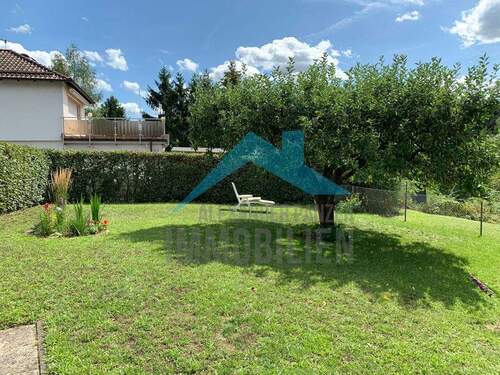 Garten - 3 Zimmer Etagenwohnung zur Miete in Kassel