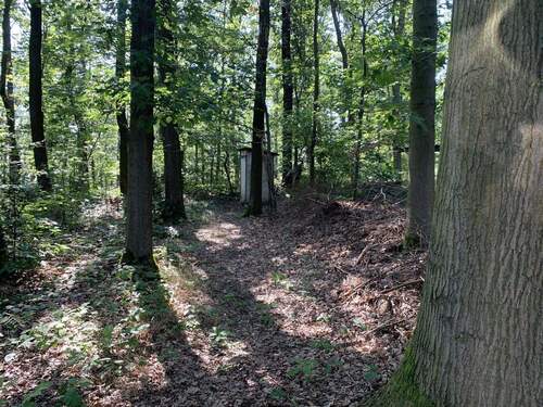 Waldteil Zuwegung über 