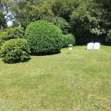 Garten im Sommer - 