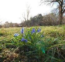 Baugrundstück im Spreewald - in Wassernähe gelegen - - Märkische Heide Groß Leuthen