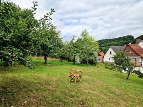 Obstgarten - 