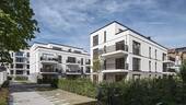 VERO 6 - 