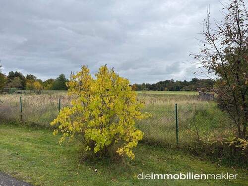 Grundstück - Grundstück zum Kaufen in Luckau