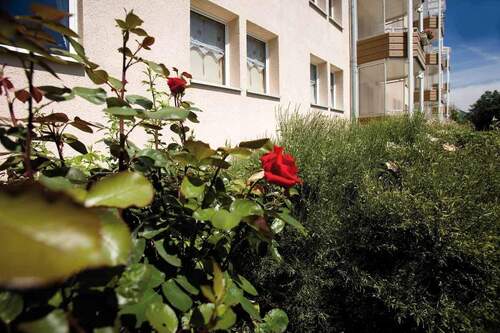 Detailansicht Grünanlage - 