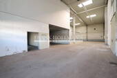 V9763 Halle 2.1 - 
