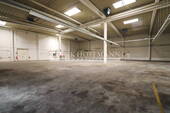 V9763 Halle 1.3 - 