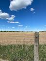 Weitblick - 