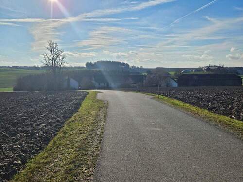 Hofansicht vom Norden - Mehrfamilienhaus, Wohnhaus mit 287,00 m&sup2; in Wurmannsquick zum Kaufen