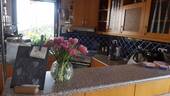 Archivfoto Whg. EG - 