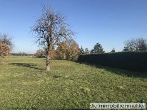 Grundstück - Grundstück zum Kaufen in Märkische Heide