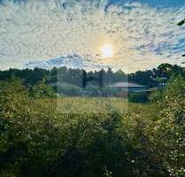 Bauträgerfrei - unbebautes Grundstück zu verkaufen - Bestensee