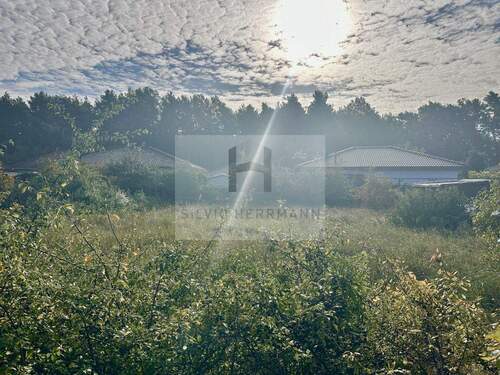 Ansicht Grundstück - Grundstück zum Kaufen in Bestensee