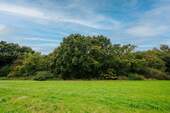 Ausblick - 