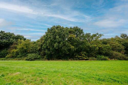 Ausblick - 