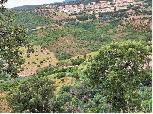 Bild 12.jpg - Grundstück in Les Issambres