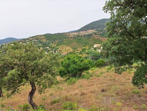 Bild 13.jpg - Grundstück in Les Issambres zum Kaufen