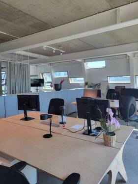 Coworking area - 