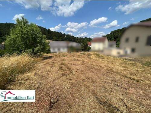 Blick vom Grundstücksende - Grundstück zum Kaufen in Losheim am See / Rimlingen