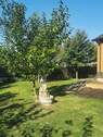 Brunnen - 