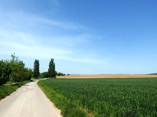 Spaziergang - 
