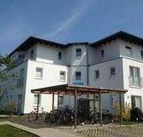 1 Möblierte 2-Zimmer-Wohnungen ab 1. Mai 2026 - Heringsdorf Neuhof